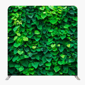 EcoVibe Backdrops
