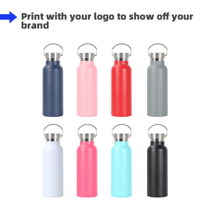 17oz Vacuum Insulated Bottle with Stainless Steel Lid